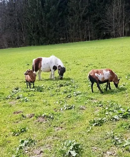 Na žlábku