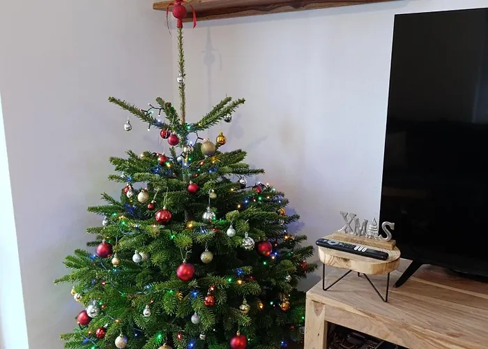 Apartamento Na žlábku Horní Planá